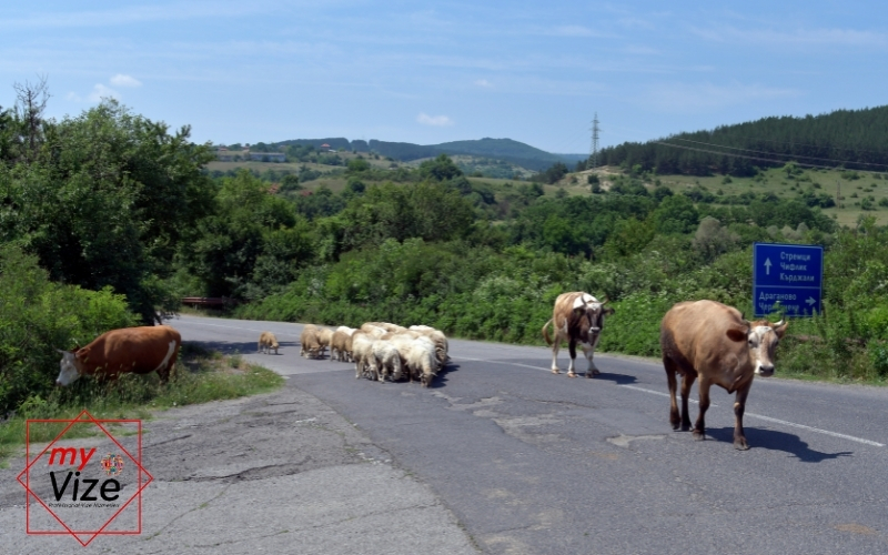 Bulgaristan vizesi - MyVize